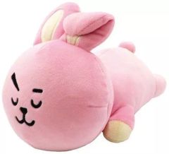 [중고] 쿠션·안아 베개·본체 COOKY(정국) 모후모후우데마쿠라 [BT21]