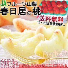 【予約：7/21～7/30予定】春日居の桃 山梨県産 5kg 12～20玉前後 モモ 白桃 白鳳 もも 日河白鳳　加野岩白桃 浅間白桃　水密白桃 川中島白桃　なつっこ　あかつき　品種リレー