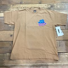 新品 OBEY / オベイ TAKE A PEEK PRINT TSHIRT 両面プリントTシャツ ブラウン メンズ Mサイズ 半袖 USED