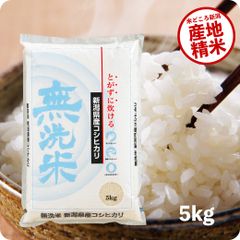 米 新潟コシヒカリ5kg（無洗米） お米 令和6年産 白米 送料無料（沖縄のぞく）