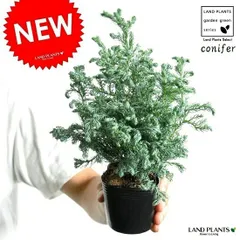 クリスマス ラグマット チェック リース バード リバーシブル USA雑貨 敷物 クリスマス ラグマット チェック リース バード リバーシブル