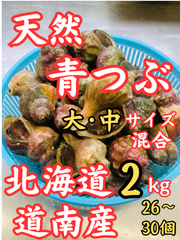 天然 活つぶ 青つぶ 大・中混合 2kg 北海道 道南産 ヒメエゾボラ ツブ つぶ貝 貝