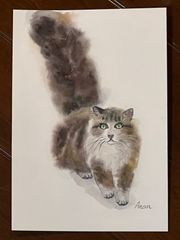 猫　水彩画　サイズ2L インテリア