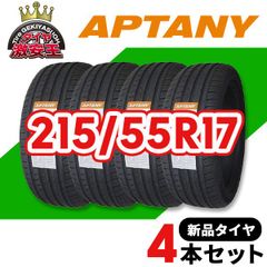 4本セット 215/55R17 2024年製造 新品サマータイヤ APTANY RA301 送料無料（沖縄県は除く） 215/55/17【即購入可】