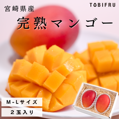 【ミニ】宮崎県産 完熟マンゴー 2玉入り