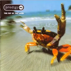 The prodigy the day is レコード box 新品 未使用 2025年最新】prodigy レコードの人気アイテム - メルカリ
