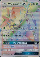 058/051/SM3N/HR グソクムシャGX