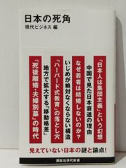 日本の死角 (講談社現代新書 2703)　現代ビジネス　(240708mt)