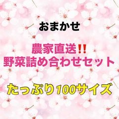 土曜日発送‼️野菜詰め合わせセット‼️たっぷり100サイズ‼️のサムネイル