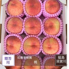 桃 【佐藤果樹園】 品種色々 3kg 9～12個 福島県須賀川市 福島の桃 福島 もも 贈答 プレゼント 《7/上旬～7/中旬より出荷》