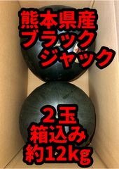 北海道沖縄追加料金無し　熊本県産 すいか　ブラックジャック　2玉箱込み約11〜12kg