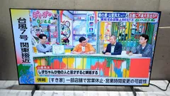 2025年最新】oled42c2pjaの人気アイテム - メルカリ 2025年最新】oled42c2pjaの人気アイテム - メルカリ