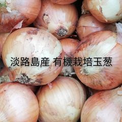 淡路島産有機栽培たまねぎ 5kg JAS有機農業オーガニック玉葱タマネギ玉ねぎオニオン