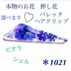 本物のお花 押し花 ビオラ ヘアクリップ バレッタ 青 シェル キラキラ レジン