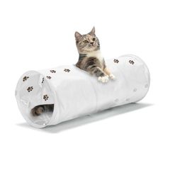 キャットトンネル (ホワイト)