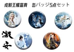 ★中国の人気イケメン俳優  成毅 チョン・イー（王權富貴）缶バッジ  5点セット