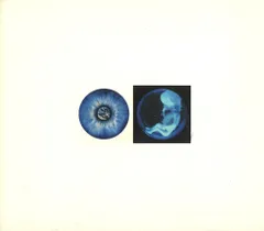 2025年最新】pierrot HEAVEN 〜THE CUSTOMIZED LANDSCAPE〜の人気