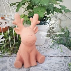 可愛くてカッコイイ テラコッタ ブーツ 鉢【2つセット】⁎。❀ * (´﹀｀) 可愛くてカッコイイ テラコッタ ブーツ 鉢【2つセット