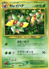 美品】キレイハナ 旧裏 ⚫︎拡張パック第1弾 金、銀、新世界へ