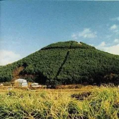 奥田民生●Lee●コラボ●チノパン●老パン●29インチ●美品 2088382071_a.jpg