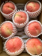 桃　夏かんろ　7玉