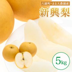 【まる大農園産】新興梨　5kg