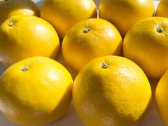 ♬ほろ苦さが人気のオトナ味の柑橘♬ ★柑橘類★『土佐文旦』約5㎏