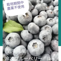 岩手県産 品種MIX 冷凍ブルーベリー 1kgのサムネイル