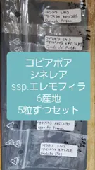 2025年最新】コピアポア シネレアの人気アイテム - メルカリ