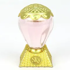 アナスイ ミニ香水 スカイ SKY オードトワレ EDT 若干使用 フレグランス レディース 5mlサイズ ANNA SUI 【中古】