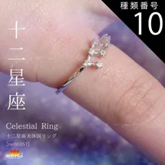 種類10:山羊座 リング 指輪 レディース フリーサイズ 金属アレルギー 指先に夜空を彩る。十二星座天体図リング チェーン アクセサリー 925シルバー スターリングシルバー シルバー 十二星座 星 星座 誕生日 きれいめ プレゼント シンプル n_marai