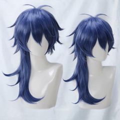 ヒプノシスマイク 有栖川帝統 ありすがわだいす ウィッグ コスプレ衣装