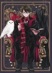 【中古】ポストカード ハリー・ポッター ポストカード 「ハリー・ポッター/ファンタスティック・ビースト」 アニメイト 夏のグッズフェア対象商品購入特典