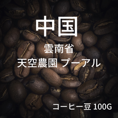【中国 雲南省 天空農園 プーアル 】コーヒー豆 100g ミディアムロースト