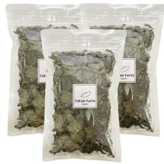 国産 ブラックミント ドライハーブ 30g（10g×3袋） ドライミント ミントティ ハーブティ 無農薬 ノンカフェイン 長崎県産 メール便
