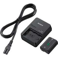 2025年最新】fz100 ソニーの人気アイテム - メルカリ