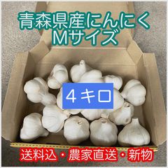 にんにく君93　３キロ 青森県産 にんにく Mサイズ 3キロ - メルカリ