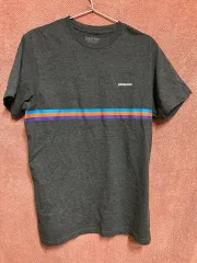 パタゴニアショートスリーブ T シャツ
