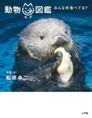 鳥羽水族館⭐️70周年⭐️ポスター⭐️ラッコ - メルカリ