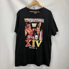 WWF WWE ダッドリーズ 長袖Ｔシャツ レア 2000年製 WWF アンダーテイカー AMERICAN BAD ASS バイカー