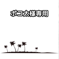 ポコ太様専用【種】30粒　Brahea armata　ブラヘア　アルマータ 2024/11/19入荷！！