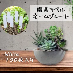 ネームプレート プランタータグ 園芸 ラベル 白色 プレート 植物 100枚