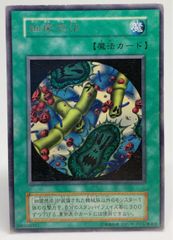 遊戯王　細菌感染