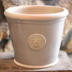 2025年最新】キューガーデン 鉢の人気アイテム - メルカリ