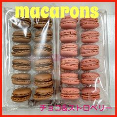 洋菓子　冷凍マカロン　チョコレート&ストロベリー　2種類セット 冷凍食品スイーツ