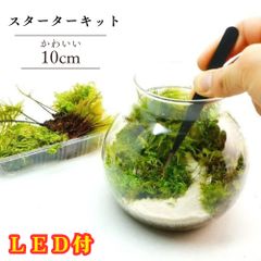 【スターターキット】10cm  LEDライト付ボトルテラリウム 作成キット 苔セット 新生活 入学祝い 歓迎会 送別会 苔  白砂 カラーサンド ハンドメイド 自作キット 手作り ギフト 送料無料