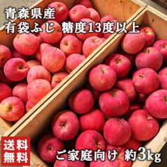 【糖度13度以上】青森県産 りんご  有袋ふじ 訳あり ご家庭用 約3kg CA貯蔵品