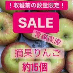 青森県産　りんご　サンふじ　摘果りんご　加工用　15個