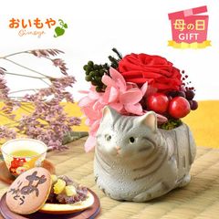 【おいもや公式】母の日限定 一寸 【アメリカンショートヘア―（グレー）】猫 ねこグッズ 動物 どら焼き プリザーブドフラワー おしゃれ 可愛い スイーツ お菓子 和菓子 インテリア 雑貨 造花 ミニ (お届け時期:5/5～11のいずれか)