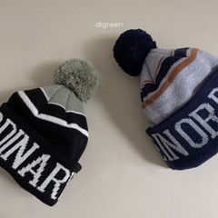 digreen/lettering beanie